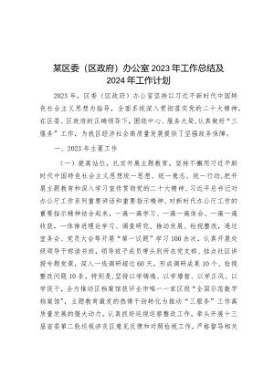 2023年工作总结及2024年工作计划（区委（区政府）办公室）.docx