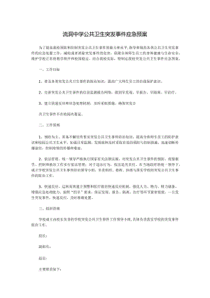 流洞中学公共卫生突发事件应急预案.docx