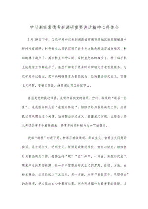 学习湖南常德考察调研重要讲话精神心得体会.docx