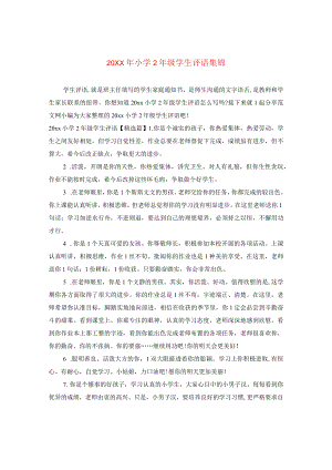 20XX年小学二年级学生评语集锦.docx