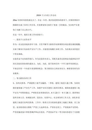2024个人年度工作总结.docx