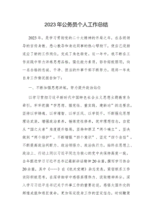 2023年公务员个人工作总结.docx