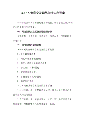 大学突发网络舆情应急预案.docx