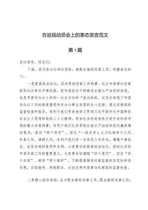 (六篇)2024在巡视动员会上的表态发言范文.docx