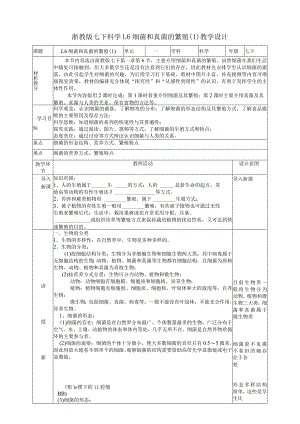 2024浙教版七下科学1.6细菌和真菌的繁殖（1）教学设计（表格式）.docx