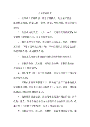 公司管理职责.docx