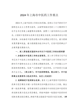 2024年上海市中医药工作要点.docx