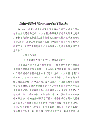 2023年党建工作总结（审计局党支部）.docx