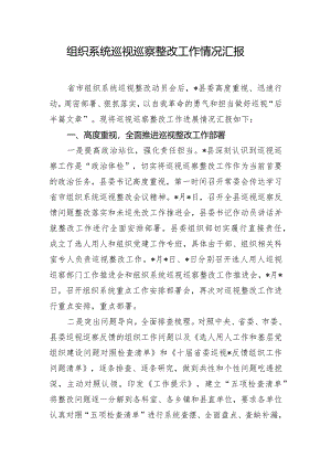 组织系统巡视巡察整改工作情况汇报.docx