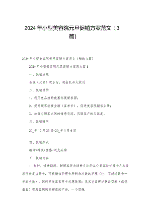 2024年小型美容院元旦促销方案范文（3篇）.docx
