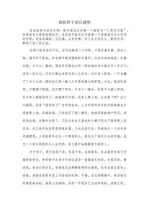 骆驼祥子章节感悟.docx