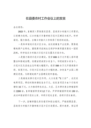 在县委农村工作会议上的发言.docx