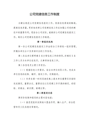 集团公司党建信息工作制度.docx