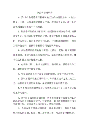 分公司管理职责.docx