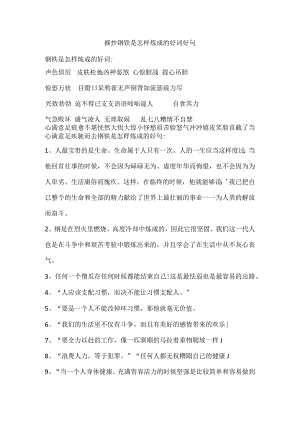 摘抄钢铁是怎样炼成的好词.docx