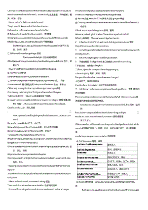 TheTelephone知识点复习指导.docx