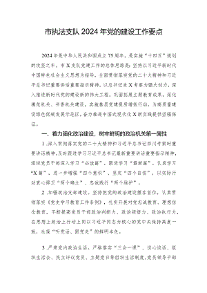 市执法支队2024年党的建设工作要点.docx