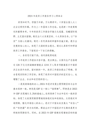 2024年政府工作报告学习心得体会.docx