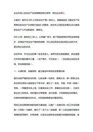 企业负责人安全生产总结全套.docx