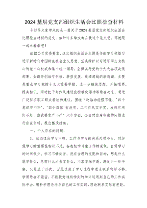 2024基层党支部组织生活会对照检查材料.docx