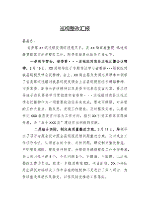 巡视整改汇报.docx