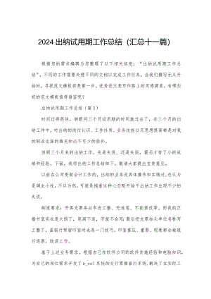 2024出纳试用期工作总结(汇总十一篇).docx