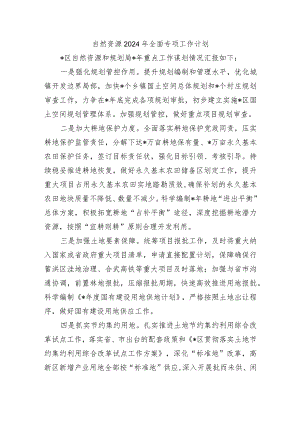 自然资源2024年全面专项工作计划.docx