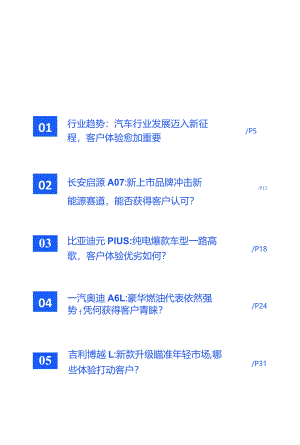 2023汽车行业分析蓝皮书.docx