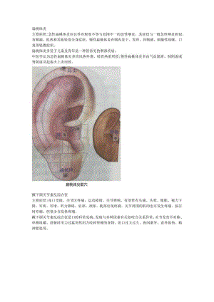 3.5耳穴牙疼扁桃体炎肥胖.docx