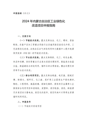 2024年内蒙古工业绿色化改造申报指南.docx