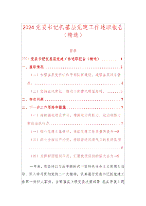 2024党委书记抓基层党建工作述职报告（精选）.docx