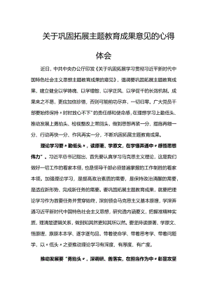 关于巩固拓展主题教育成果意见的心得体会.docx