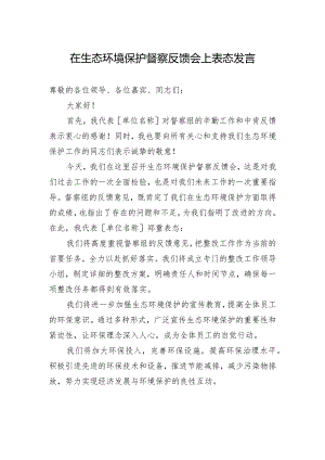 在生态环境保护督察反馈会上表态发言.docx
