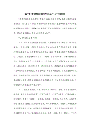 第二批主题教育组织生活会个人对照报告.docx