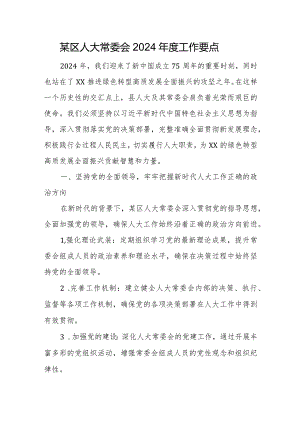 某区人大常委会2024年度工作要点.docx