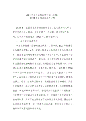 2024年县司法局工作计划(二篇).docx