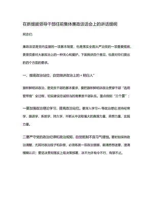 在新提拔领导干部任前集体廉政谈话会上的讲话提纲.docx
