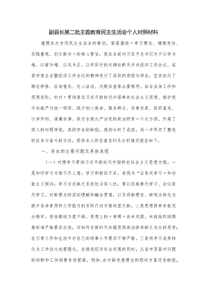 副县长第二批主题教育民主生活会个人对照材料.docx