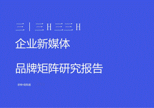 2024企业新媒体品牌矩阵研究报告.docx