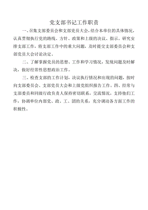 党支部书记工作职责.docx