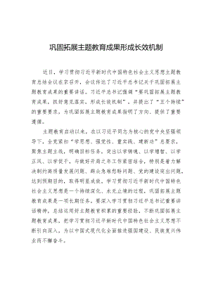 巩固拓展主题教育成果形成长效机制.docx