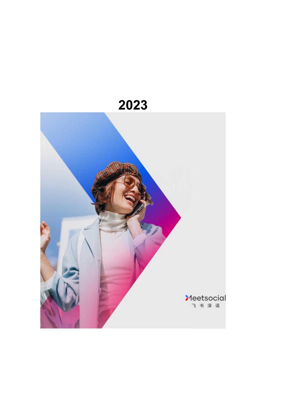 2023中国品牌出海年度报告-飞书深诺.docx_第1页