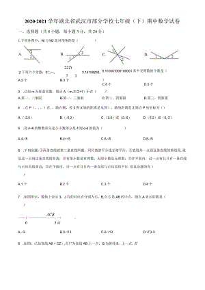 17.人教版·湖北省武汉市期中.docx