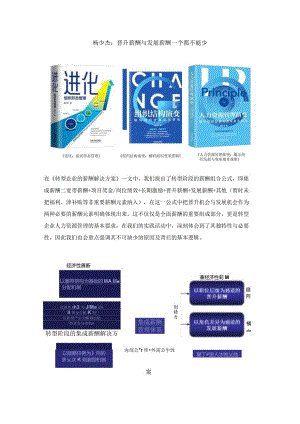 杨少杰：晋升薪酬与发展薪酬一个都不能少.docx