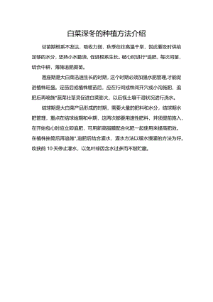 白菜深冬的种植方法介绍.docx
