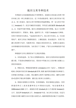 板田玉米冬种技术.docx