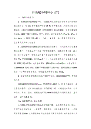 白菜越冬制种小诀窍.docx