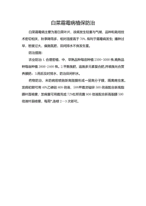 白菜霜霉病植保防治.docx
