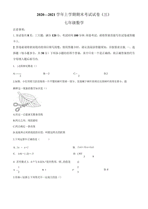 5.人教版·河南省漯河市舞阳县期末.docx