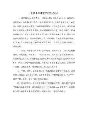白萝卜田间管理新要点.docx